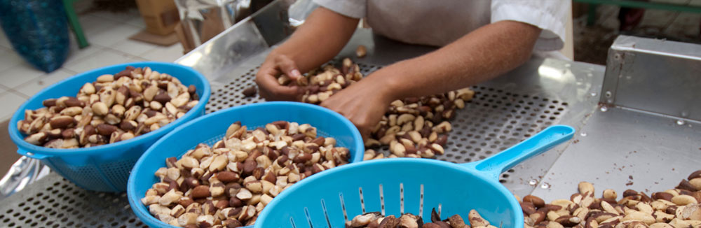 Estrategias brasileñas de apoyo a los productos de la sociobiodiversidad