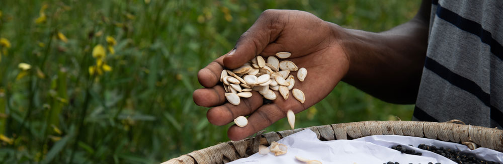 Agroecología y coexistencia de la fauna salvaje en el paisaje de Kavango-Zambezi