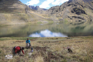 Sustainable use of biodiversity in landscapes