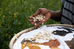 Agroecology and wildlife coexistence in the Kavango-Zambezi landscape