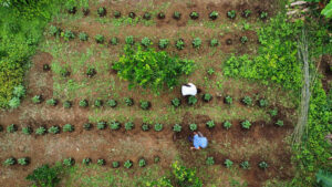 Leveraging funding for more climate-resilient and biodiversity-rich landscapes